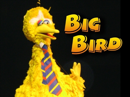 Big-bird(1)